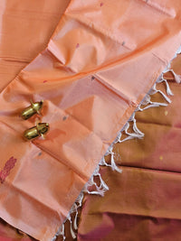 Chinnalampattu Saree - Dual Shade Greenish Pink with Peach