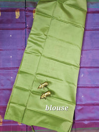 Pink with Green Chinnalampattu Saree with Blouse