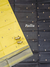 Chinnalampattu Saree - Sandal Yellow with Black