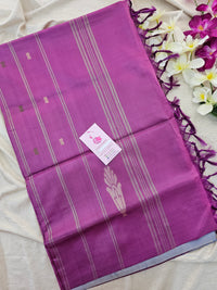 Dual Blue with Purple Pallu Handwoven Chinnalampattu Saree