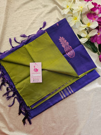Green with Violet Pallu Handwoven Chinnalampattu Saree
