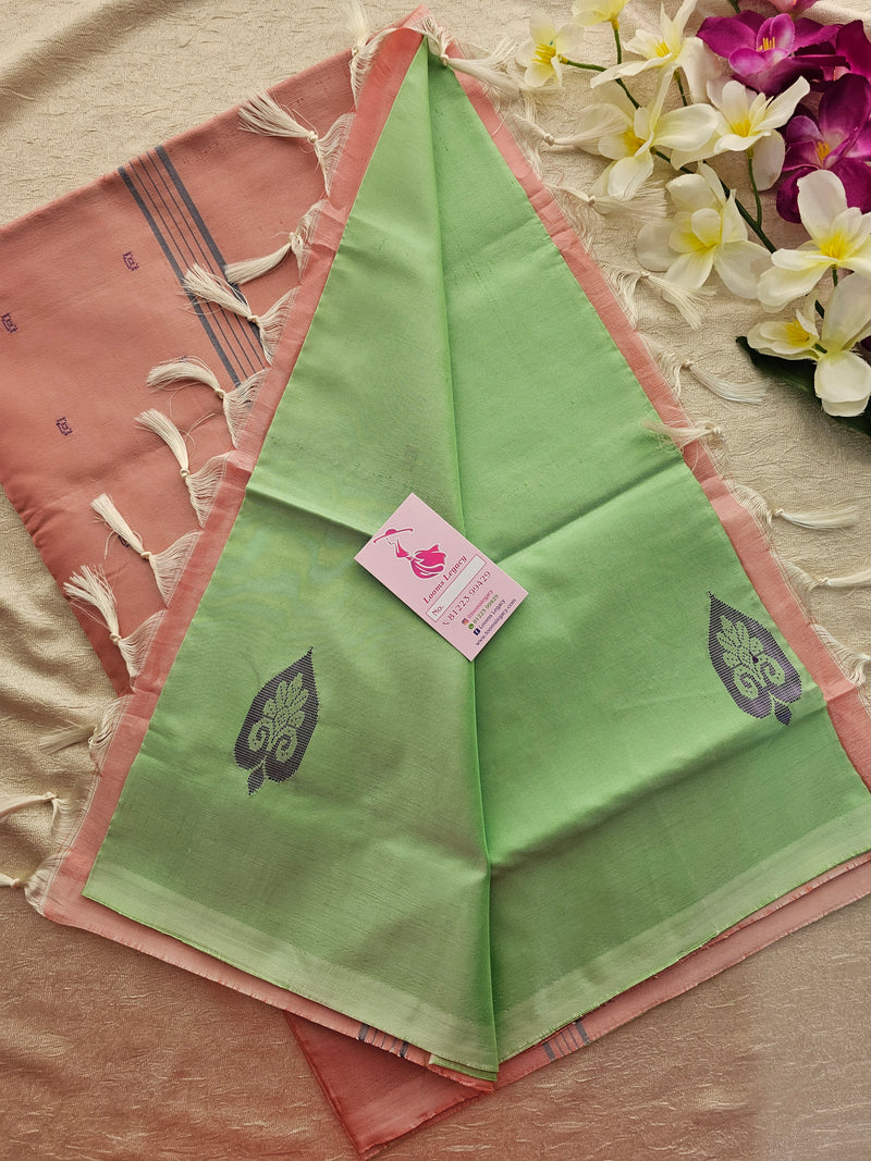 Pastel Green with Pink Handwoven Chinnalampattu Saree