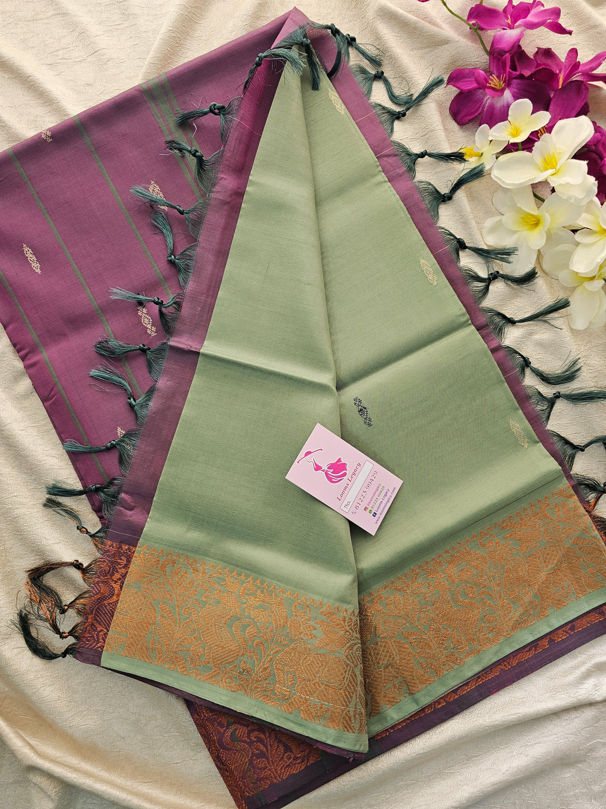 Pastel Green with Purple Pallu Chinnalampattu Border Saree