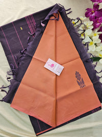 Peachish Pink with Brown Pallu Handwoven Chinnalampattu Saree