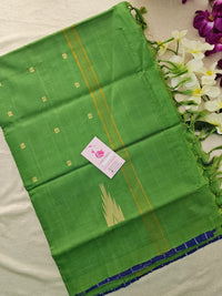 Blue with Green Pallu Handwoven Chinnalampattu Saree