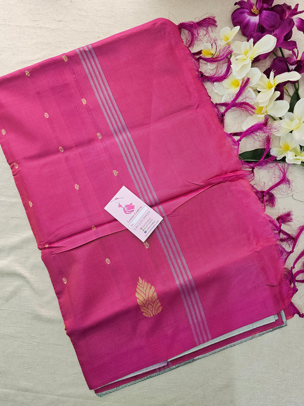 Pastel Green with Pink Pallu Handwoven Chinnalampattu Saree