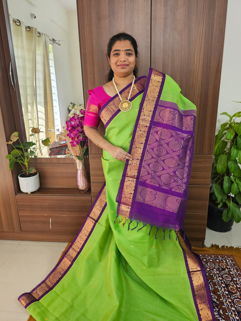 Parrot Green with Purple  Handloom Kanchi Silk Cotton