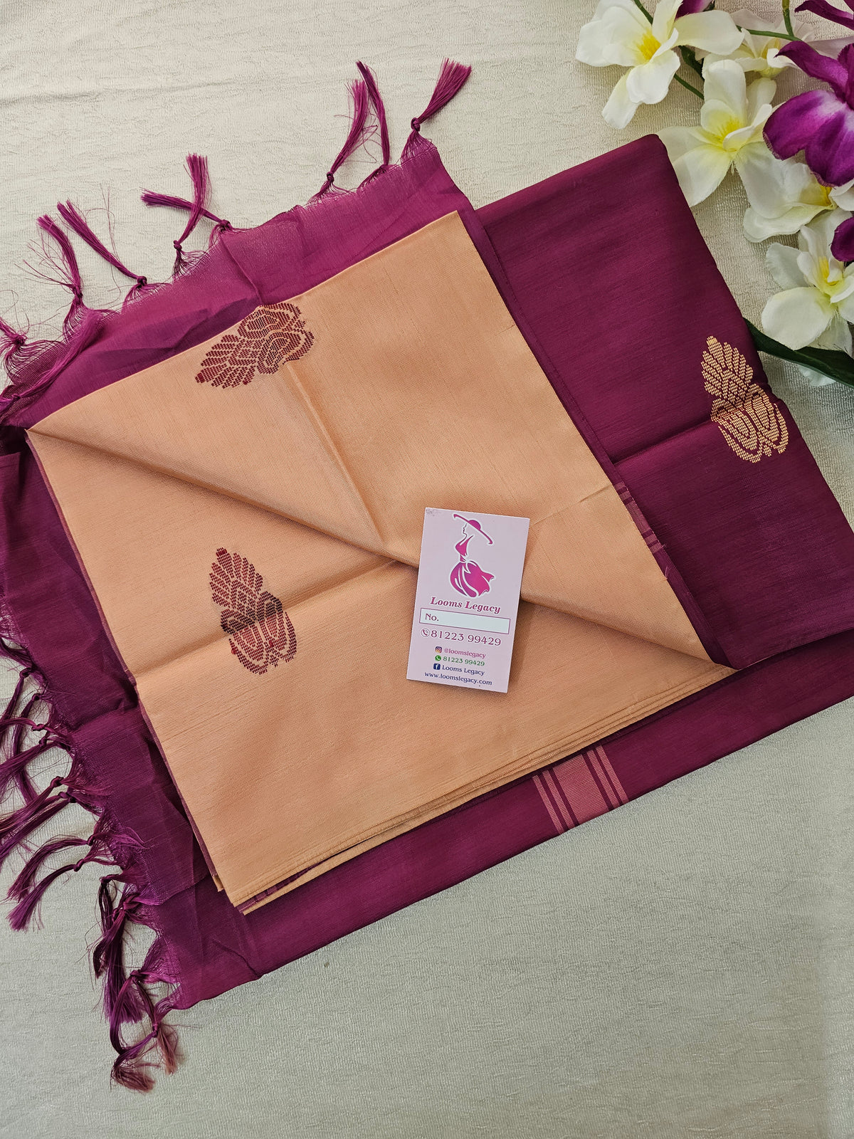 Cream with Purple Pallu Handwoven Chinnalampattu Saree