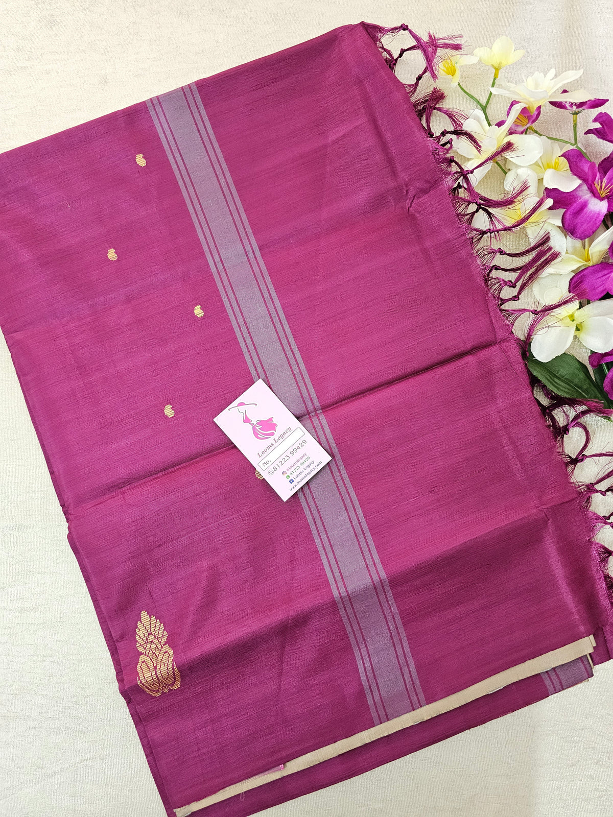 Beige with Purple Pallu Handwoven Chinnalampattu Saree