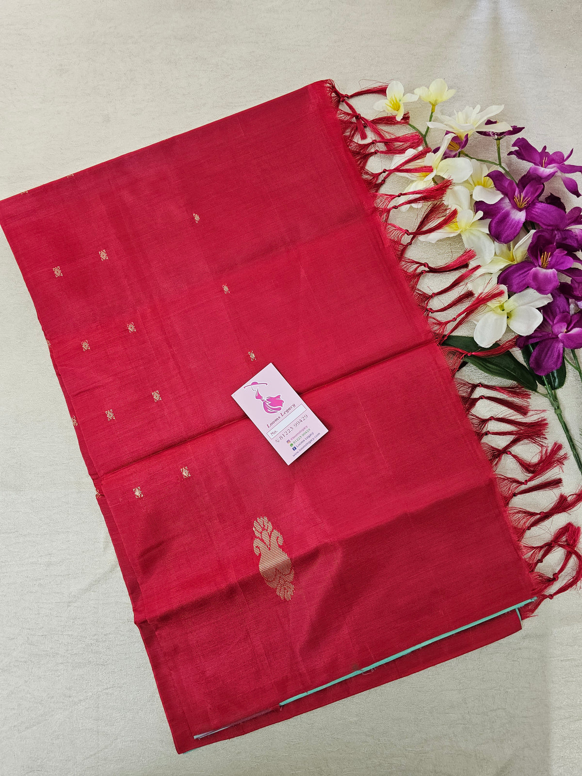 Sea Green with Red Pallu Handwoven Chinnalampattu Saree