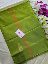 Blue Shade with Green Pallu Border Handwoven Chinnalampattu Saree