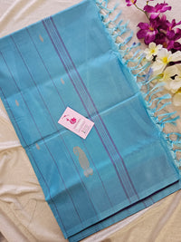 Violet with Blue Pallu Border Handwoven Chinnalampattu Saree