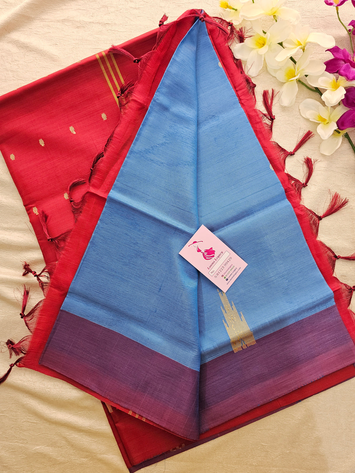 Blue with Red Border Handwoven Chinnalampattu Saree