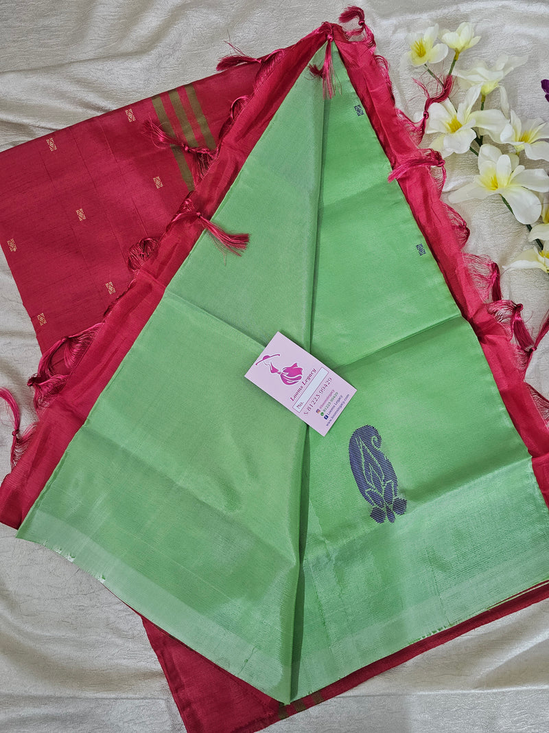 Pastel Green with Pink Handwoven Chinnalampattu Saree