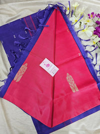 Pink with Violet Handwoven Chinnalampattu Saree