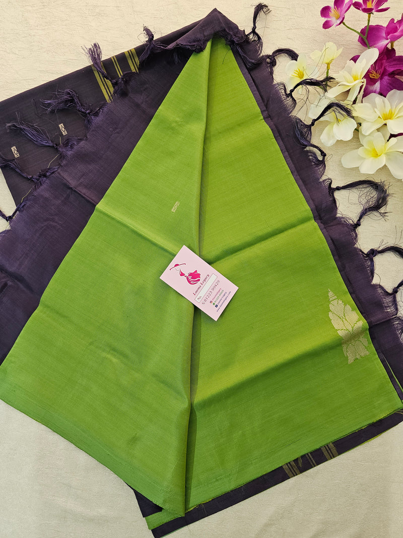 Green with Dark Purple  Handwoven Chinnalampattu Saree