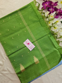 Pastel Blue with Green Pallu Handwoven Chinnalampattu Saree