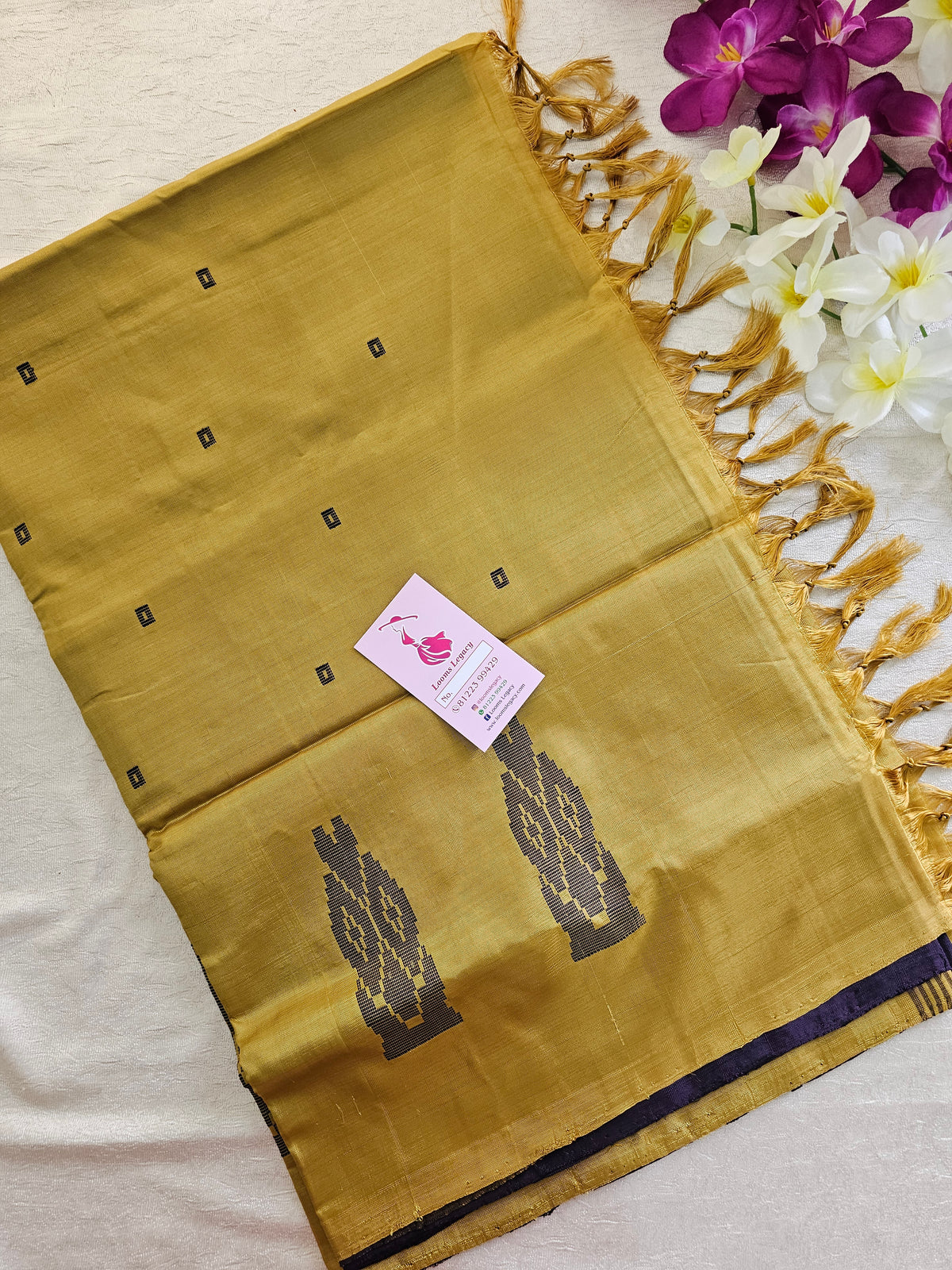 Deep Brown with Brown Pallu Handwoven Chinnalampattu Saree