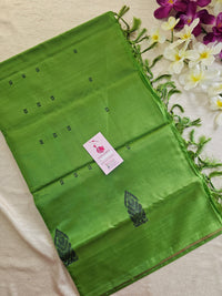 Pink with Green Border & Pallu Handwoven Chinnalampattu Saree