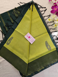 Lime Green with Dark Green Border Pallu Handwoven Chinnalampattu Saree