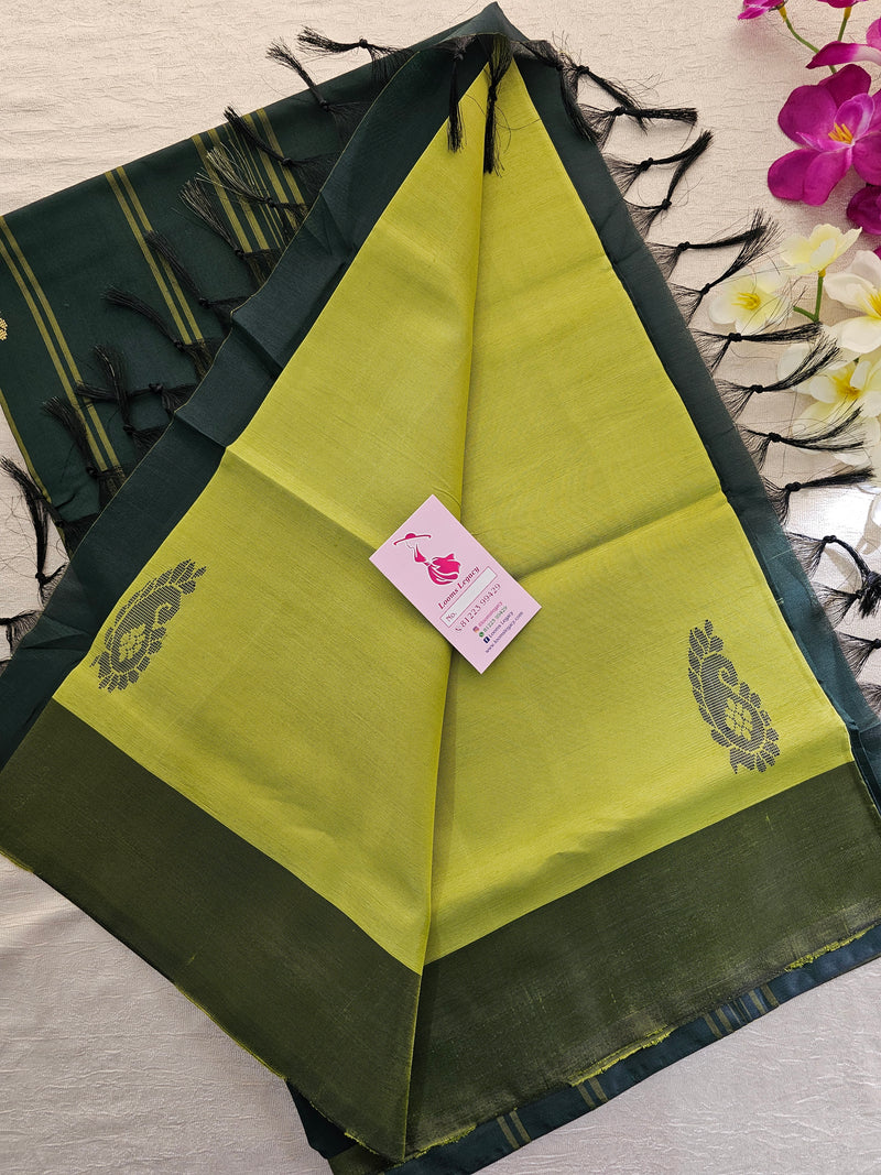 Lime Green with Dark Green Border Pallu Handwoven Chinnalampattu Saree