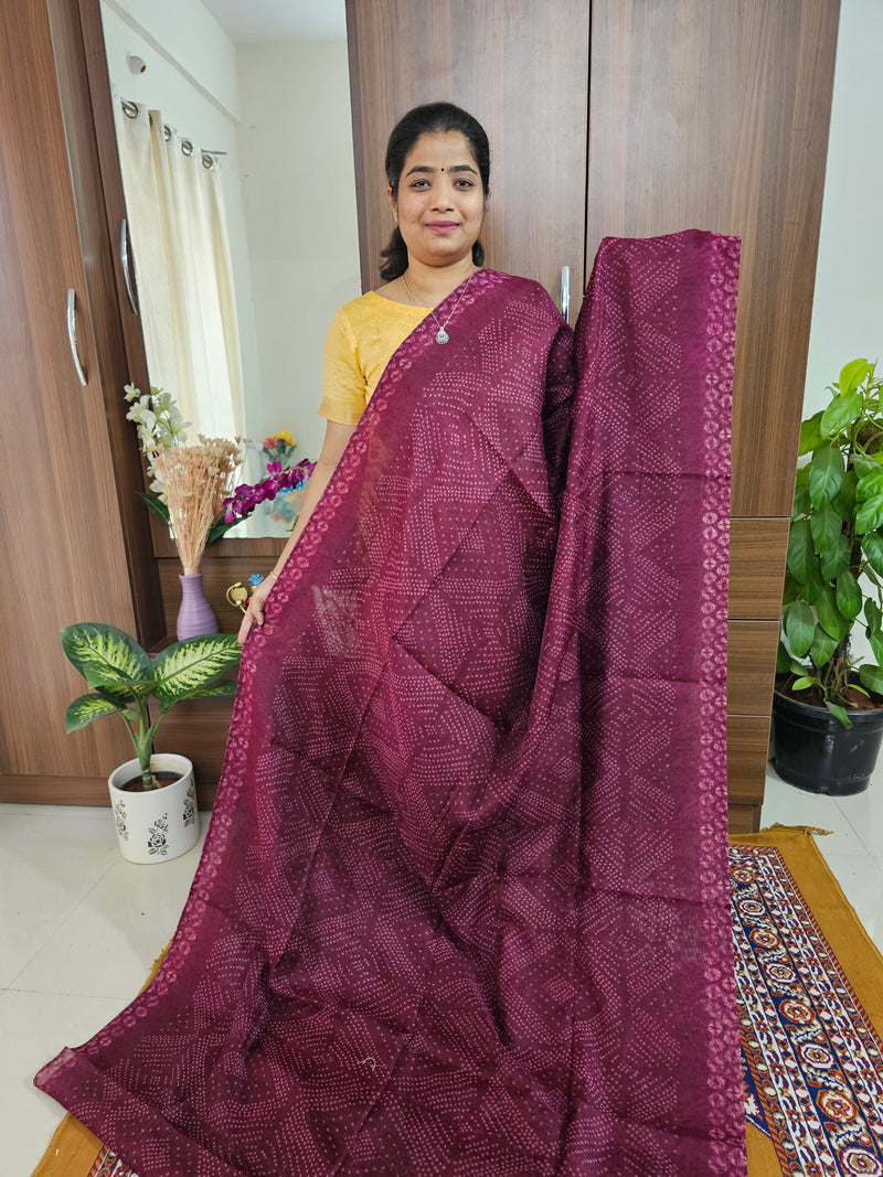 Linen Cotton with Kalamkari Pallu - Beetroot