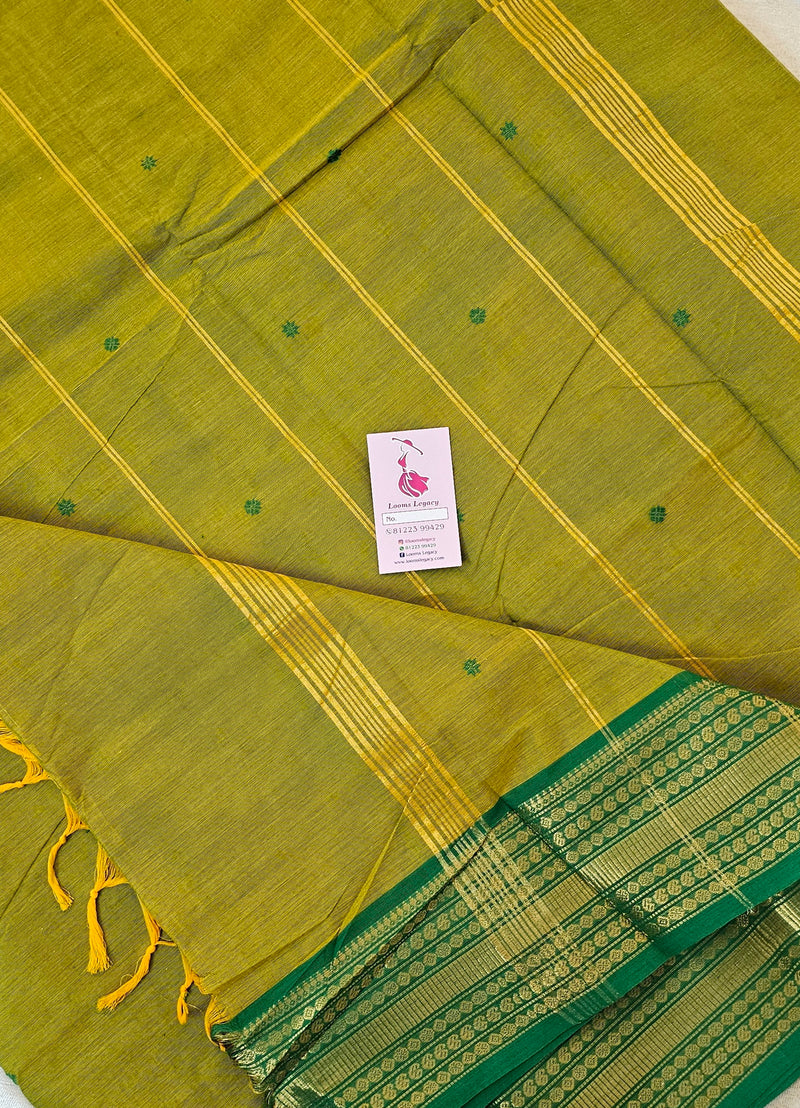 Kanchi Cotton Saree - Dual Shade Green with Yellow