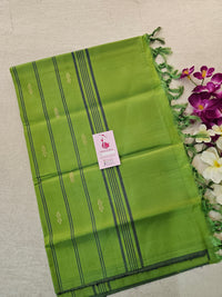 Purple with Green Pallu  Handwoven Chinnalampattu Saree