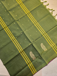 Chinnalampattu Saree - Dark Purple with Green