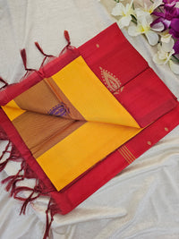 Mango Yellow with Red Chinnalampattu Saree