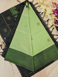 Pastel Green with Black Chinnalampattu Saree