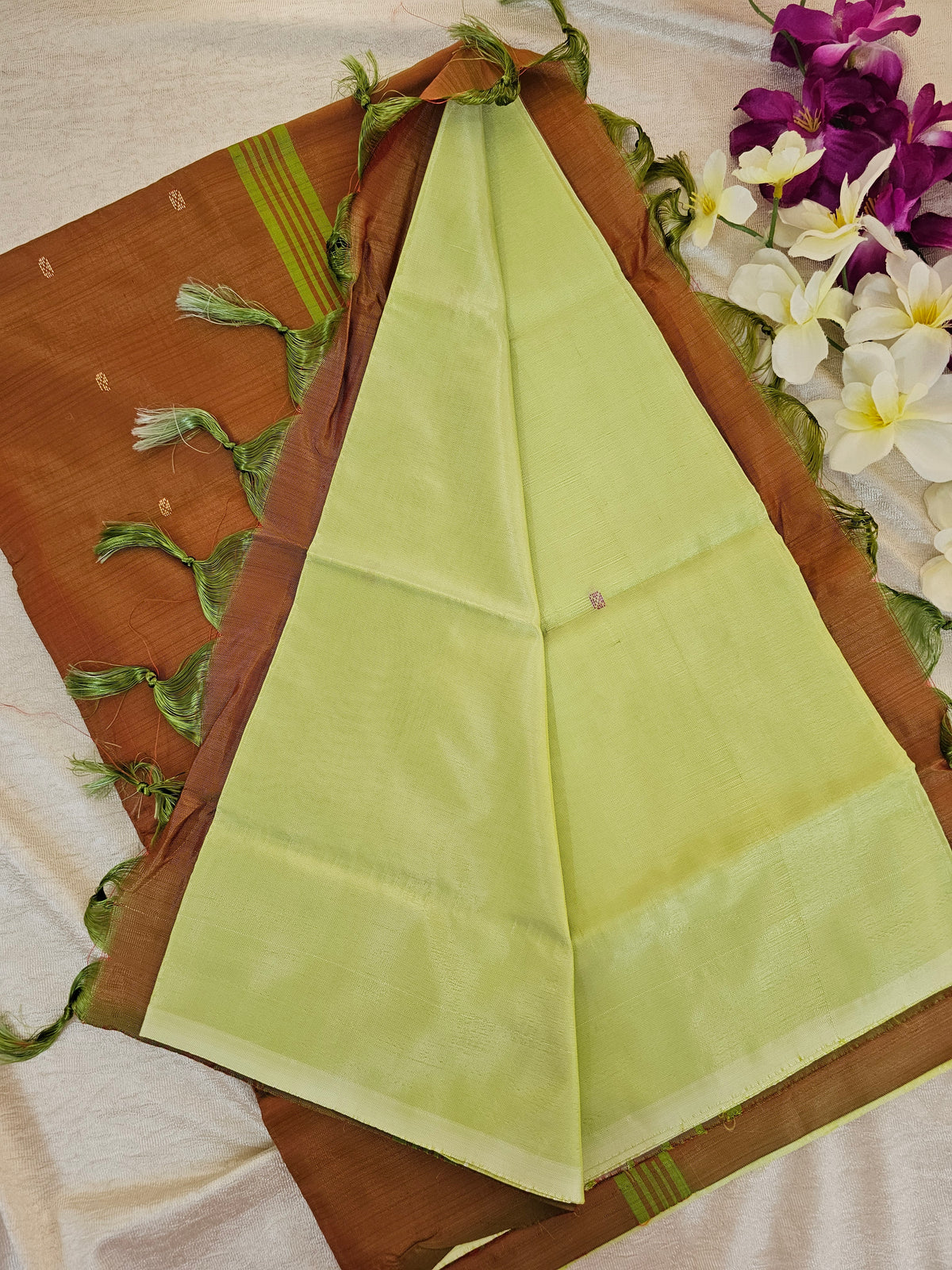 Pastel Green with Brown Chinnalampattu Saree