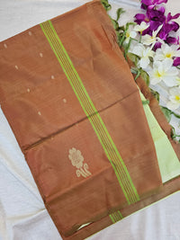 Pastel Green with Brown Chinnalampattu Saree