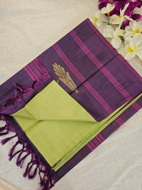 Green with Purple Chinnalampattu Saree