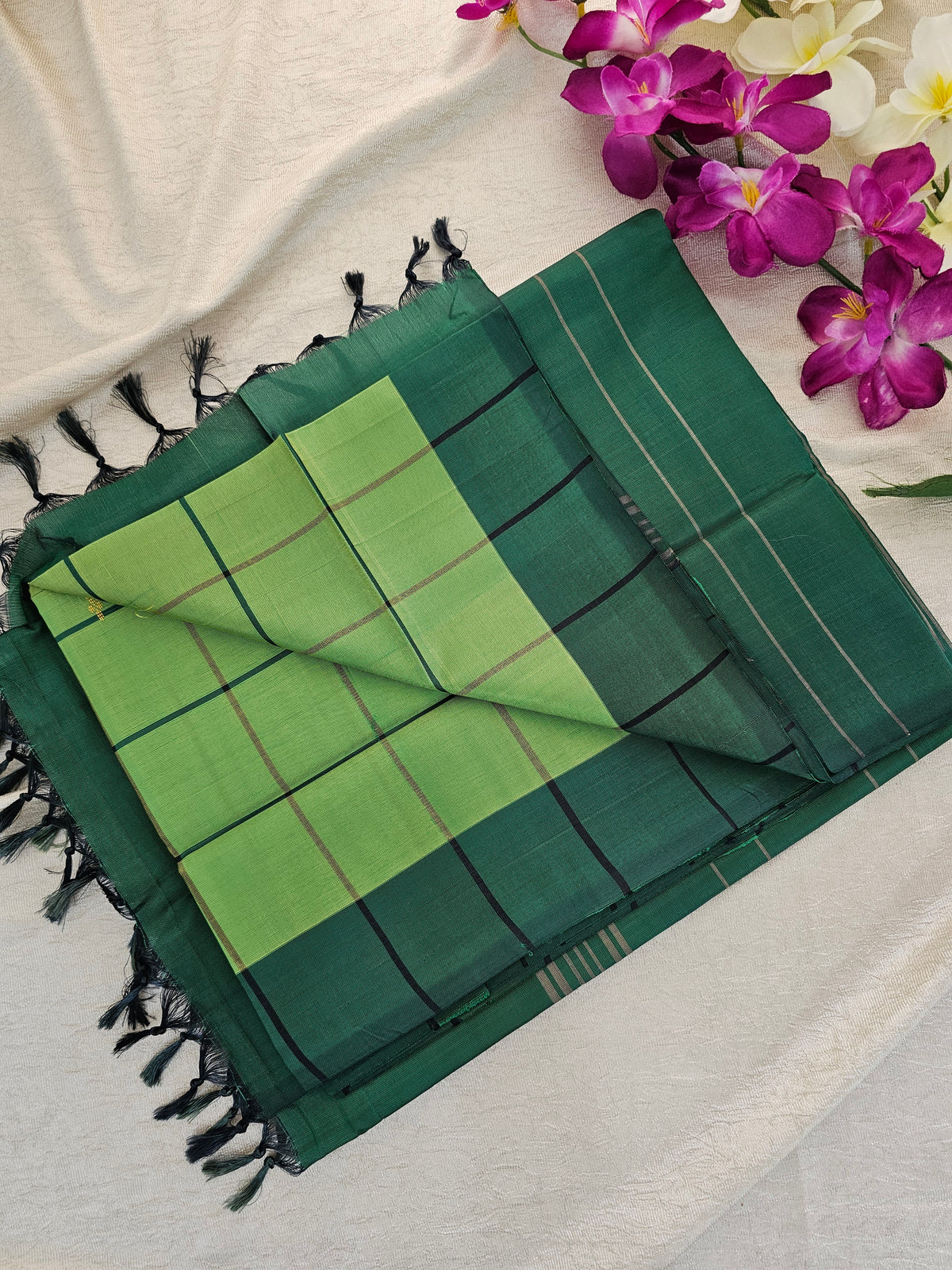 Light Green with Dark Green Chinnalampattu Saree