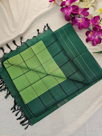 Light Green with Dark Green Chinnalampattu Saree