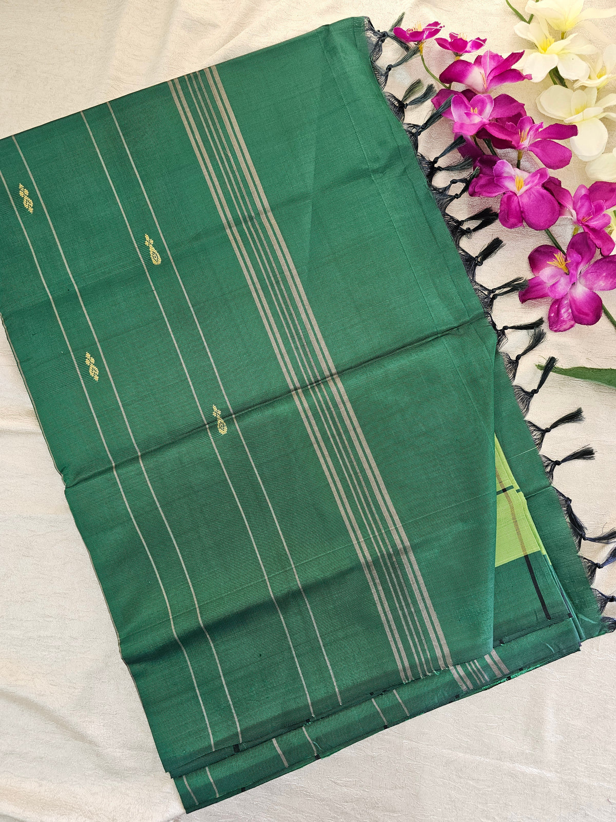 Light Green with Dark Green Chinnalampattu Saree
