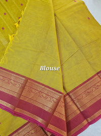 Kanchi Cotton Saree - Mustard Yellow with Red Shade