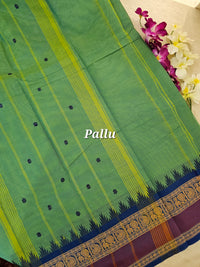 Kanchi Cotton Saree - Green with Blue