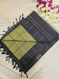 Green with Black Chinnalampattu Saree