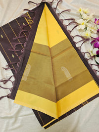 Yellow with Brown  Chinnalampattu Saree