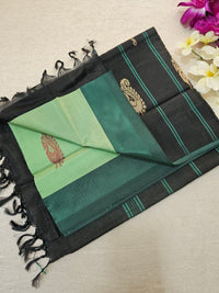 Green with Black Border Chinnalampattu Saree