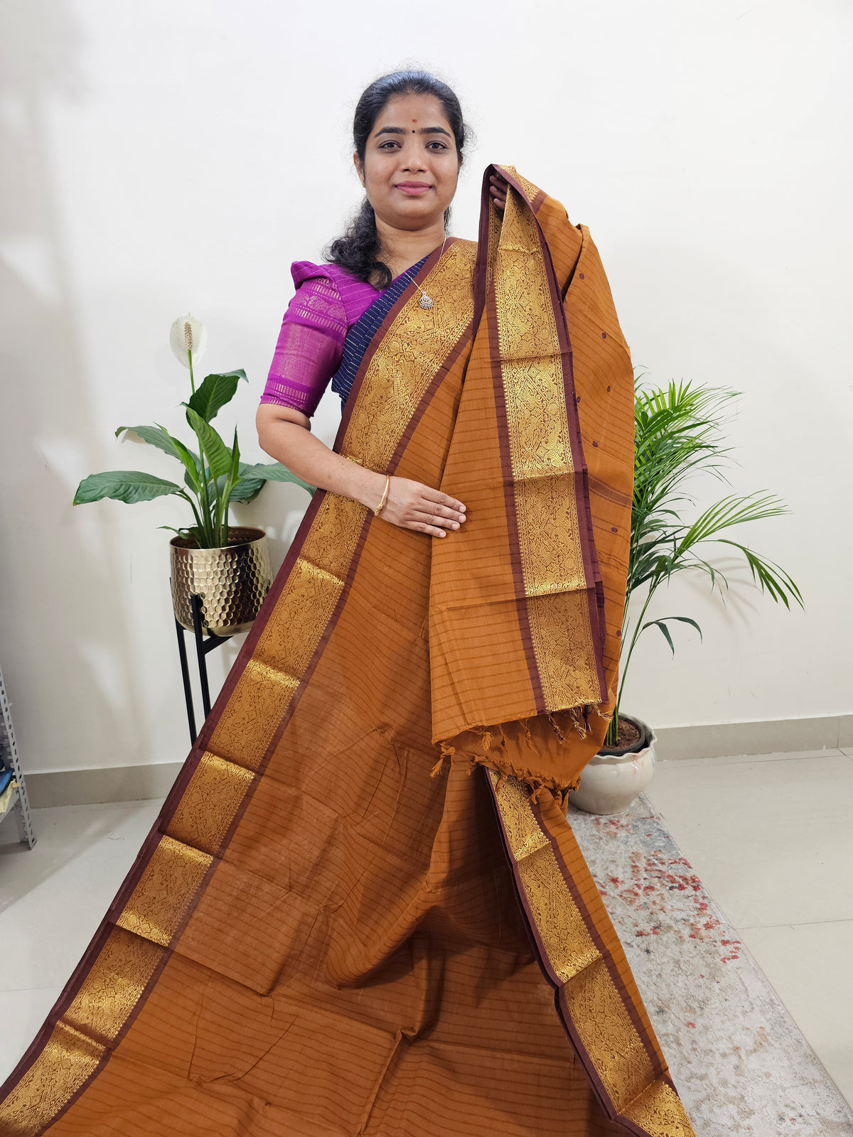 Kanchi Cotton Saree - Brown