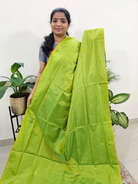 Green with Multi Stripes Chinnalampattu Saree with Blouse