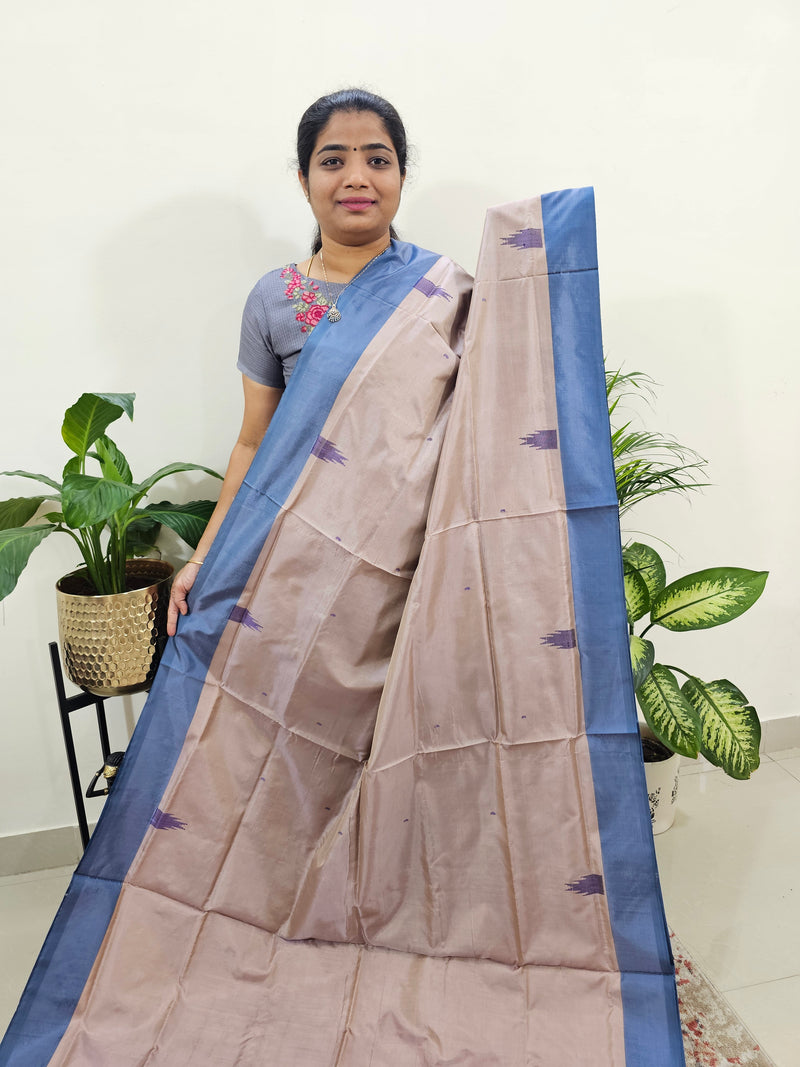 Cream with Blue Border Chinnalampattu Saree with Blouse