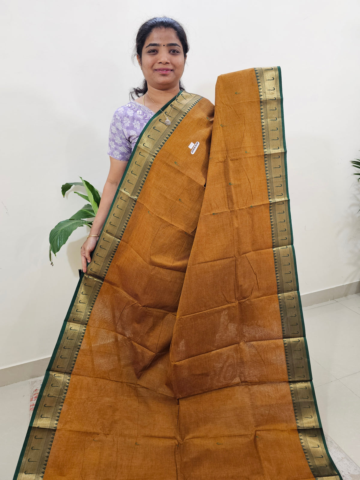 Kanchi Cotton Saree - Brown with Green