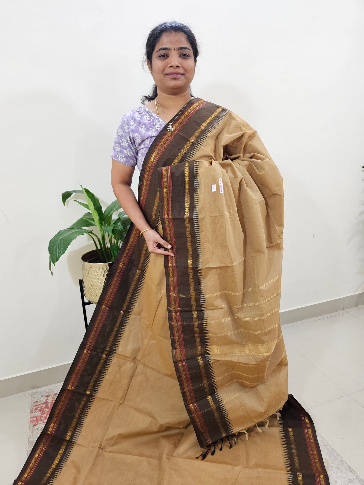 Kanchi Cotton Saree - Beige with Brown