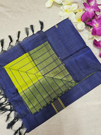 Chinnalampattu Saree - Green with Dark Blue