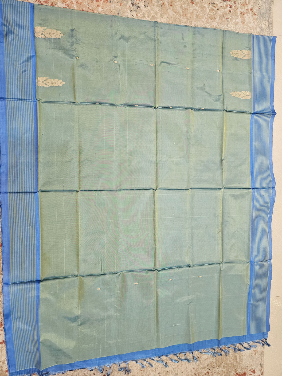 Chinnalampattu Saree - Pastel Green with Blue