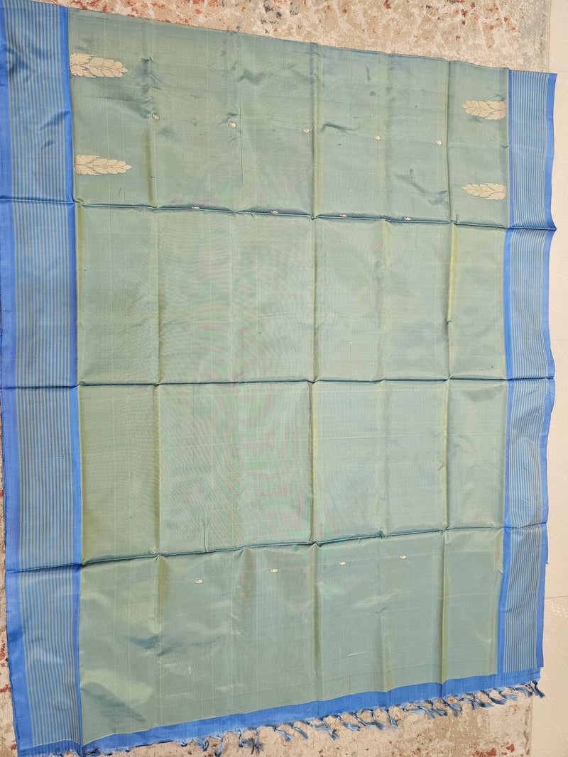 Chinnalampattu Saree - Pastel Green with Blue